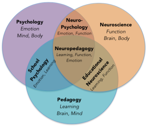 ESNP’s Unique Neuropedagogy Synthesis