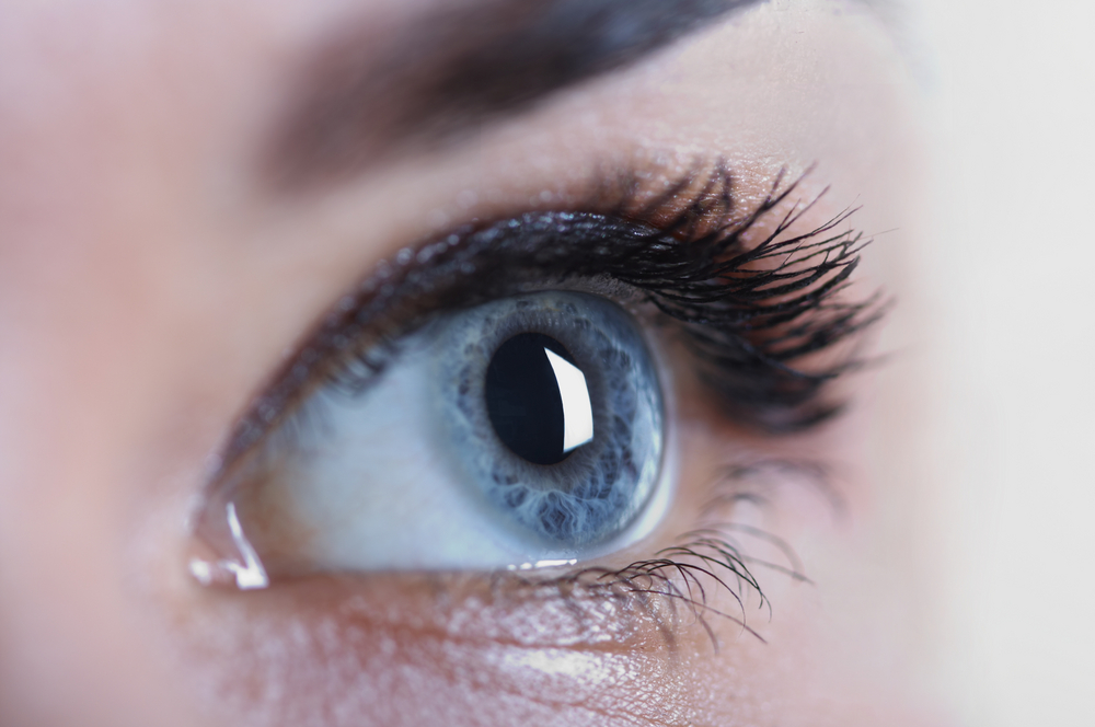 Sex Is It All In The Brain Brain Blogger